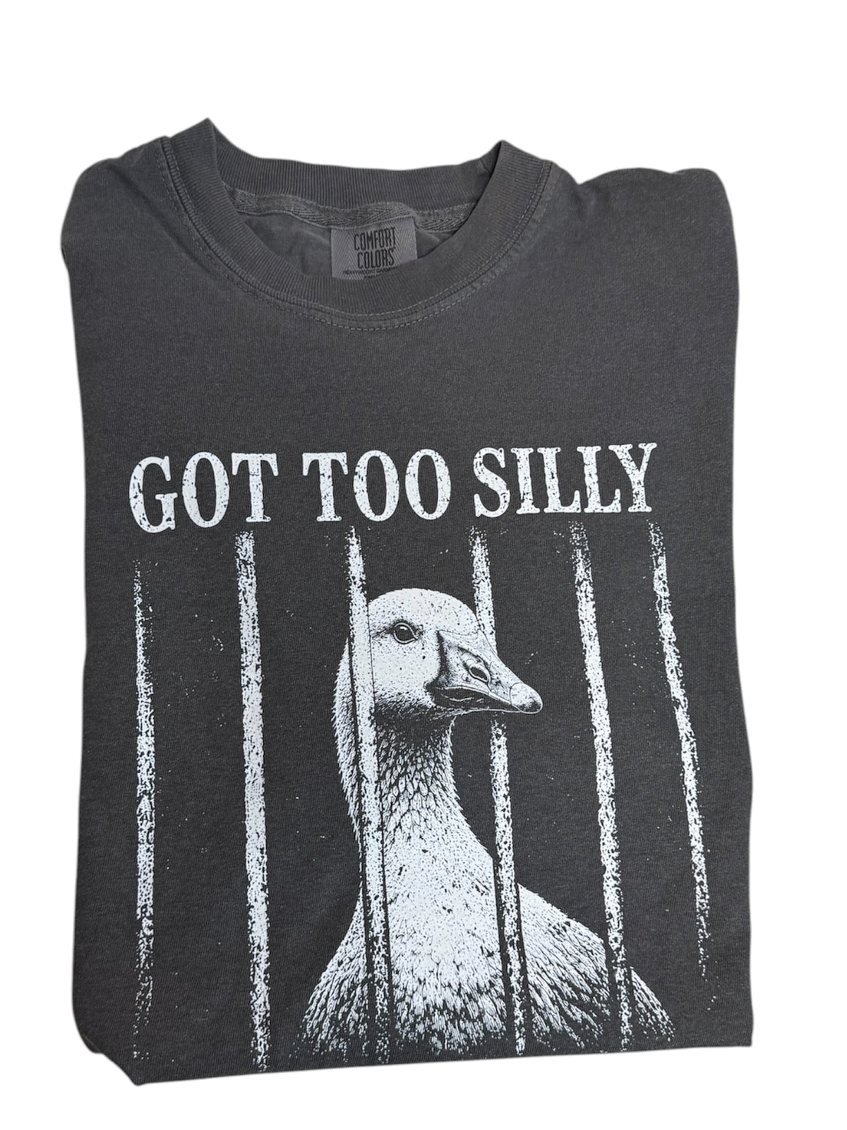 “Silly Goose” graphic Tshirt